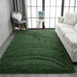 Fluffy Rugs for Bedroom