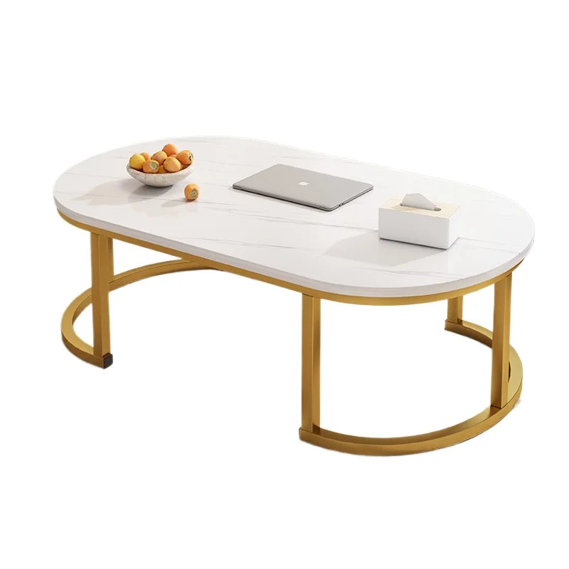 Oval Modern Coffee Table