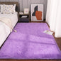 Fluffy Rugs for Bedroom