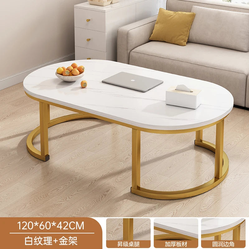 Oval Modern Coffee Table