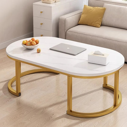 Oval Modern Coffee Table