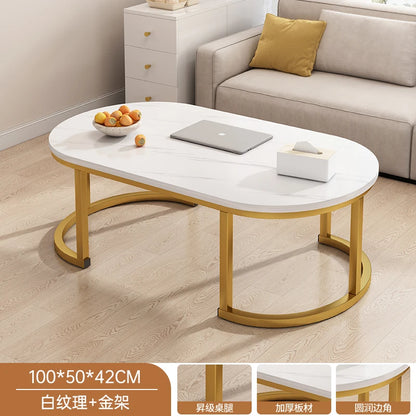 Oval Modern Coffee Table