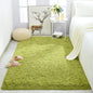 Fluffy Rugs for Bedroom