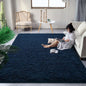 Fluffy Rugs for Bedroom